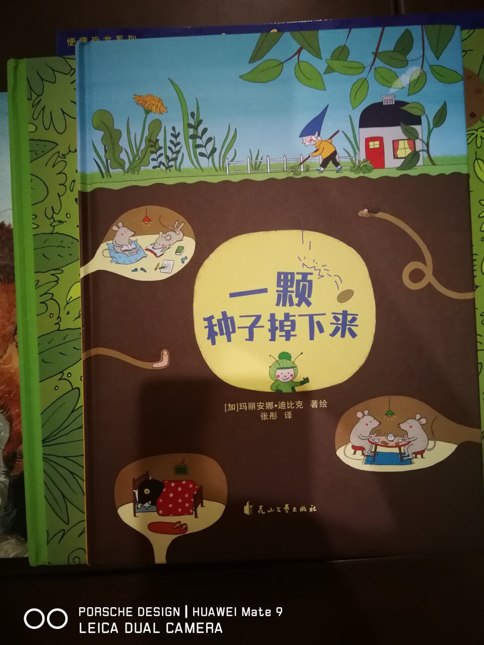 这本书是老鼠邮差的作者。风格一如既往。非常多的细节。让孩子在故事当中学会包容与接纳。