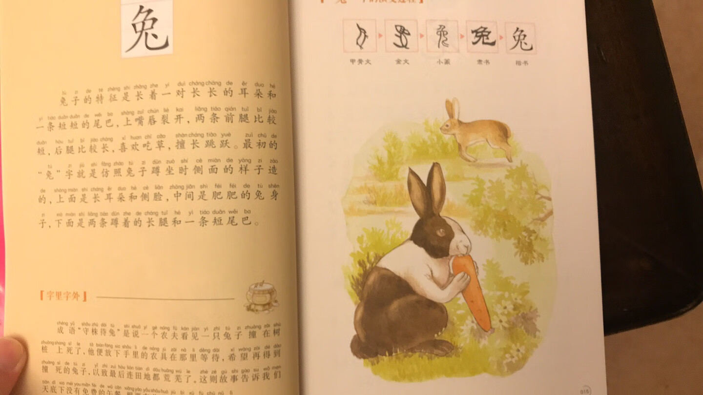 学习汉字文化和拼音的双学佳品！