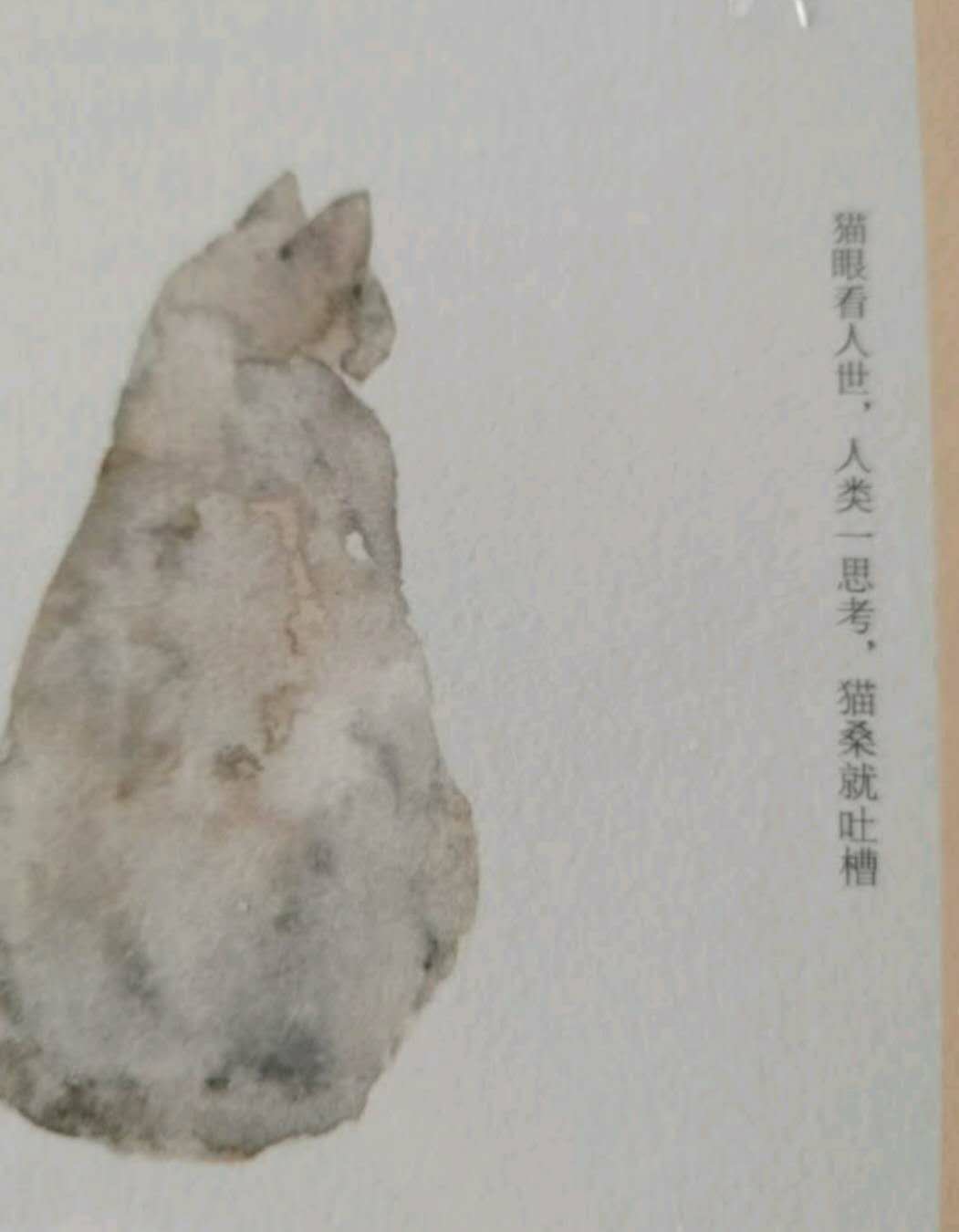 我是猫，我是猫，我是猫，很好的书，包装不错，印刷清晰，买对了