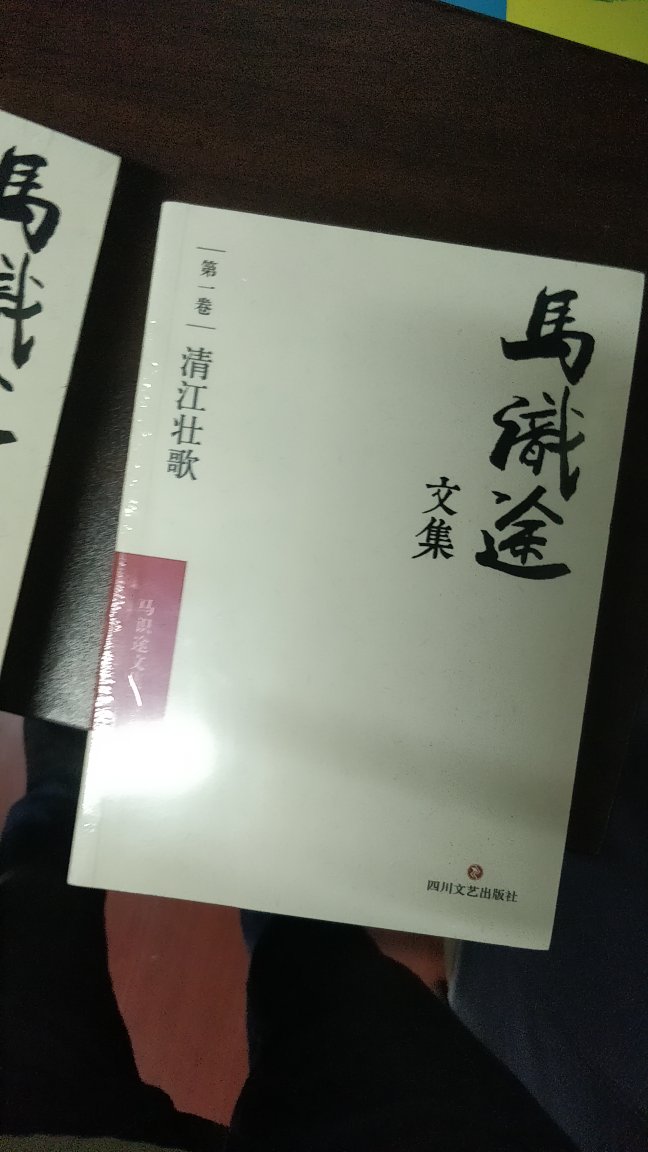 《清江壮歌》是马先生的成名之作，早在20世纪60年代就由人民文学出版社出版。书中着重就湖北地区地下党同国民党的斗争，以及党人士被国民党抓捕后，在狱中表现出的大无畏精神和气概进行了描述。 《夜谭十记》是电影《让**飞》原型小说，一部让姜文着迷的鬼才奇书。透着血的黑色幽默，观察江湖，耸人听闻。