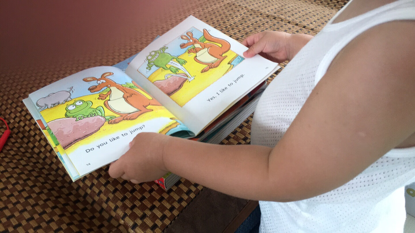 儿童英文启蒙书籍，内容比较简单，每本都会有几个单词让宝宝学习，配上生动的图片，寓教于乐，宝宝很喜欢。