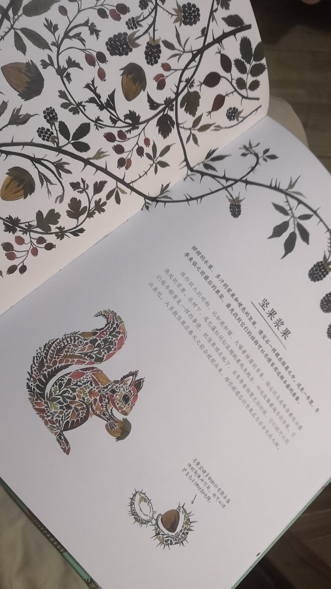 这本书不错，用树叶作画，可以让人联想出不同动物造型