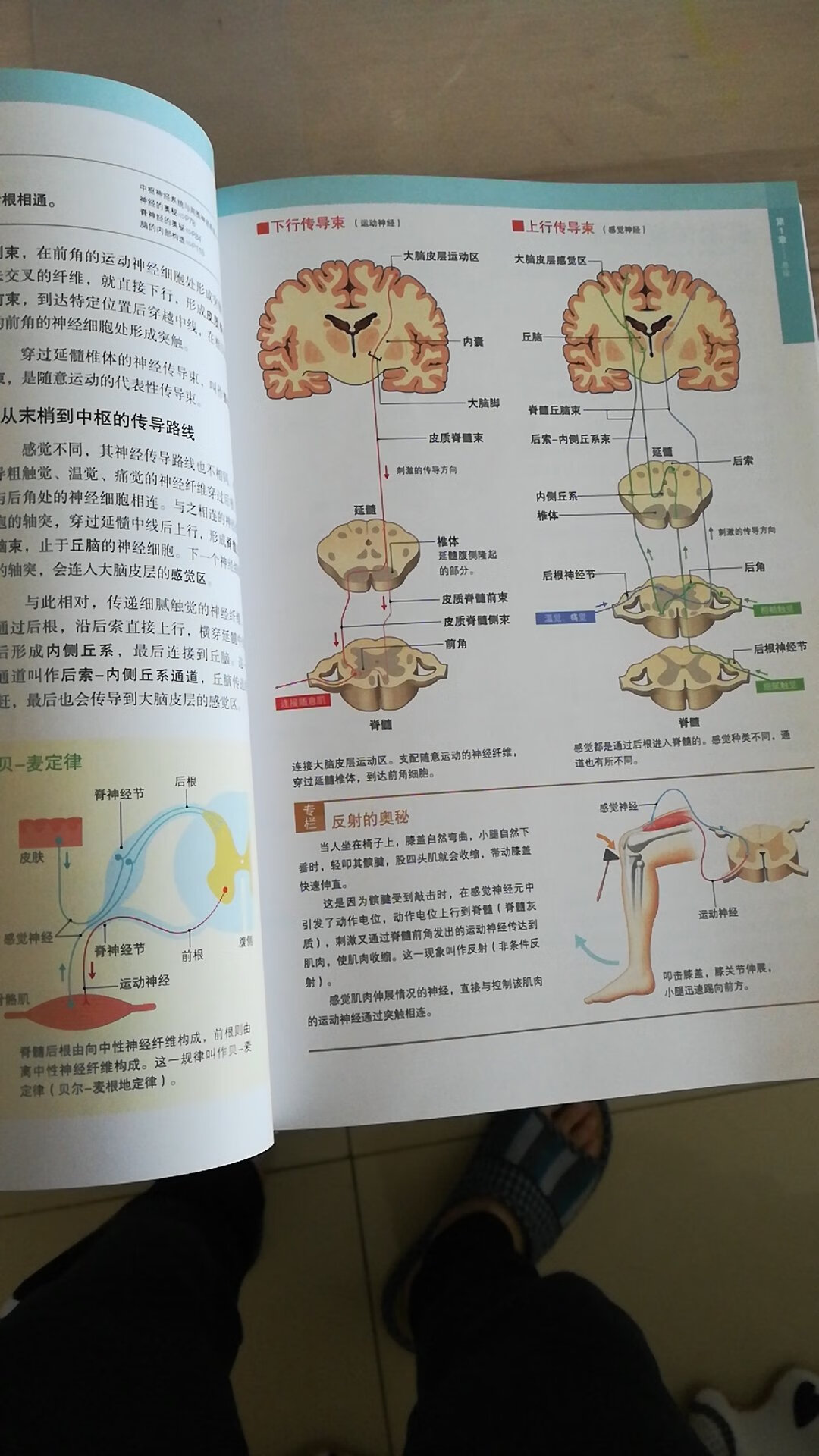 正版图书，物流很快！