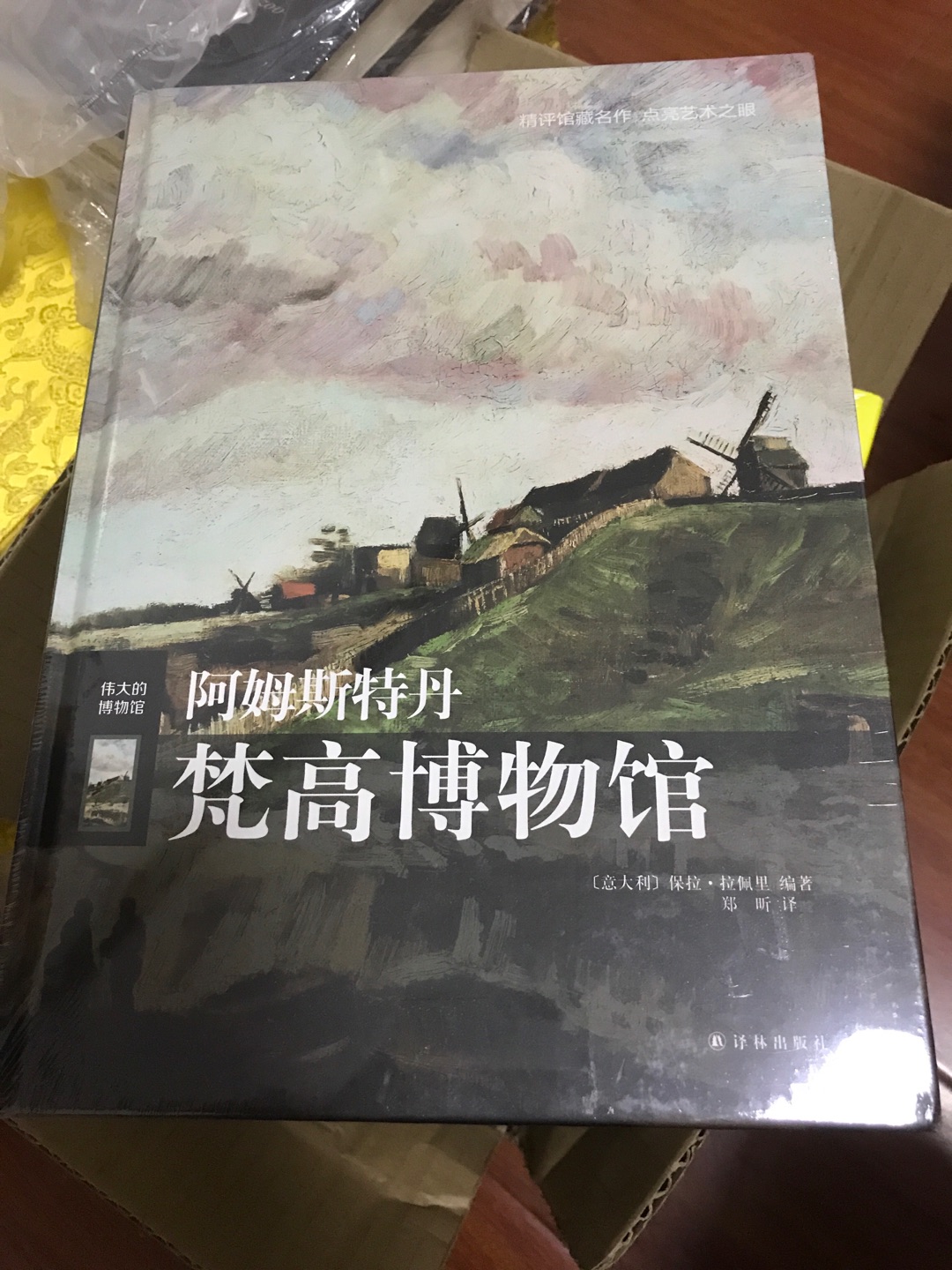 准备来个梵高大合集。在网上买书有**百本了，和几个大的书店都有购买，一直挺好的，的优惠力度还不错，但需要经常关注，不然也会错过优惠折扣，我每次都是订上几本或十来本，用纸箱装着基本没有破损，在的购物体验还是满意的。相比较**书店，的书要多很多，而且上新的速度比**快很多，优惠力度也比**大。这次531的优惠券力度比618的时候更优惠，后悔当时留了部分书等618才下单了。