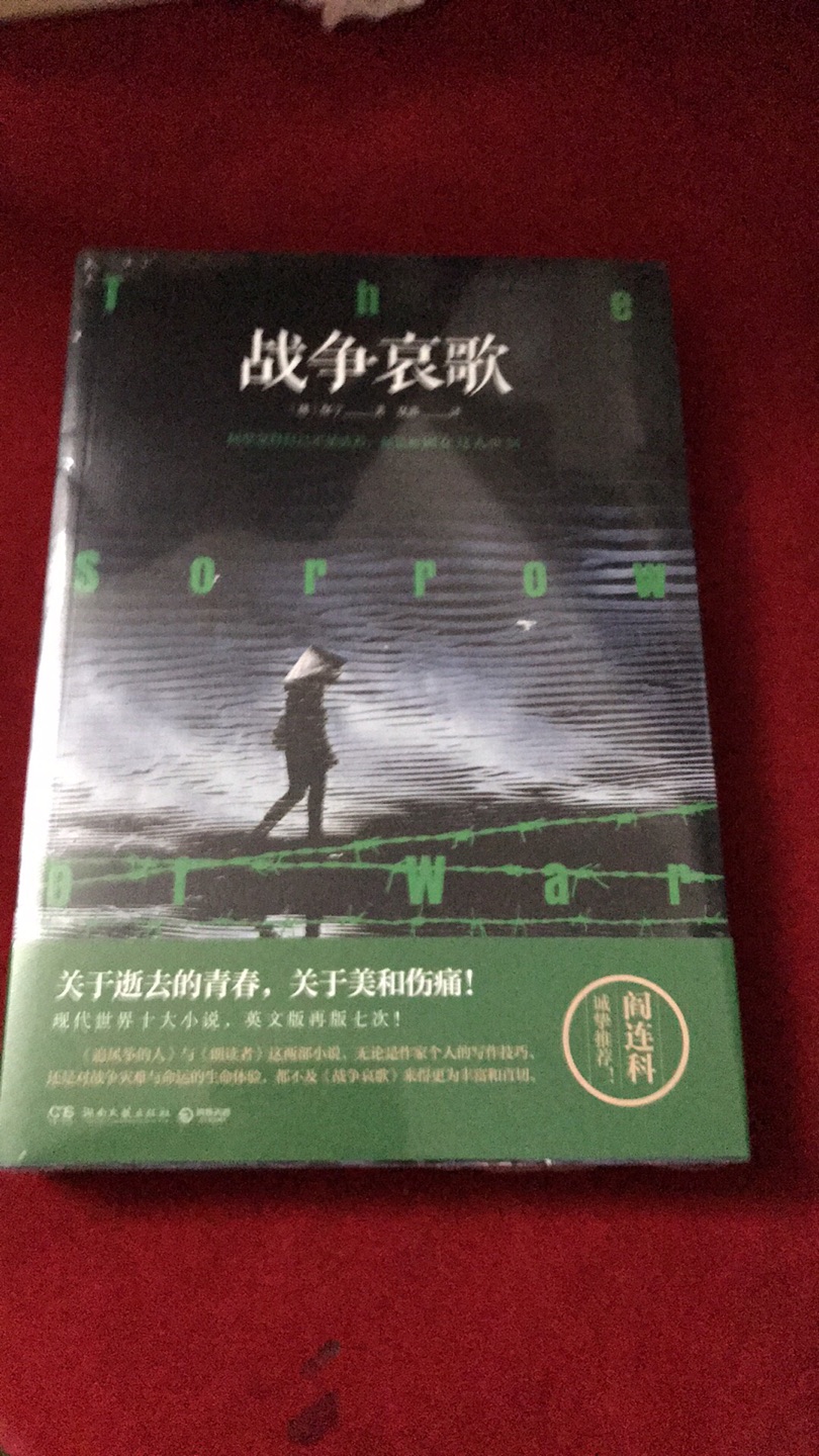 越南作者的作品是一部超越战争的小说，是一部关于创作，关于逝去的青春，也是关于美和伤痛的爱情小说