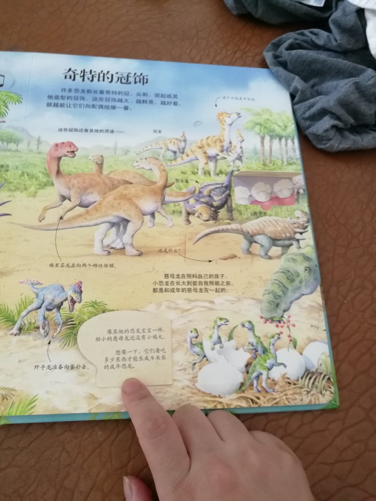 宝宝特别喜欢恐龙，每天都要看，翻页很多。
