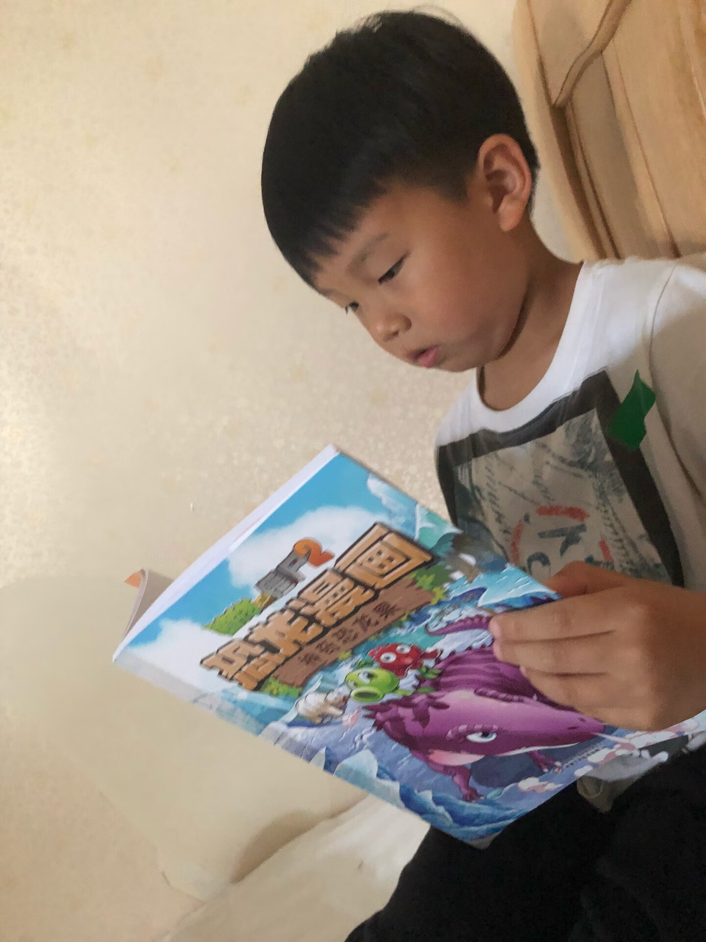 儿子买了全套，每天睡觉之前都要看，还告诉我特别好看