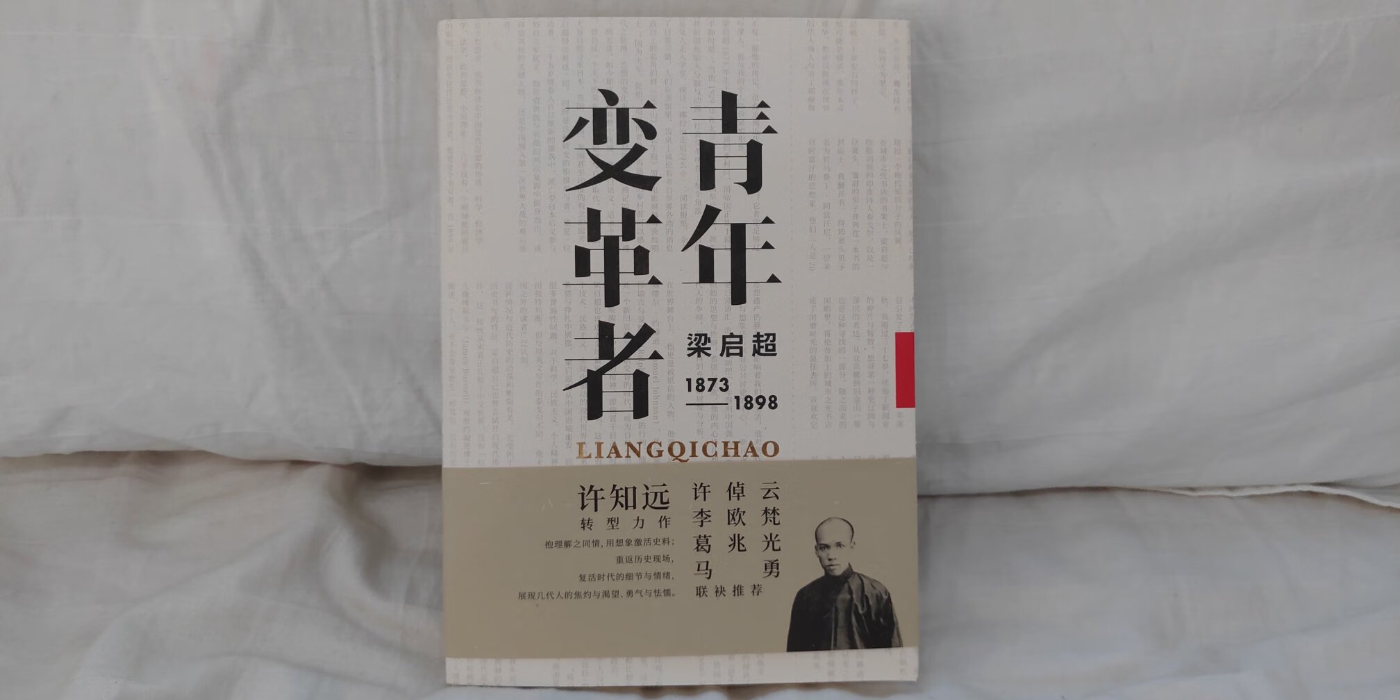 是看了这个电视剧以后才买了这本书，真的不敢想象这个时代还有人会记录这种东西，很好