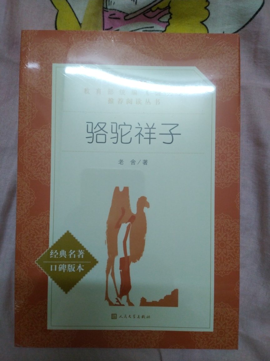 孩子妈给孩子买的............