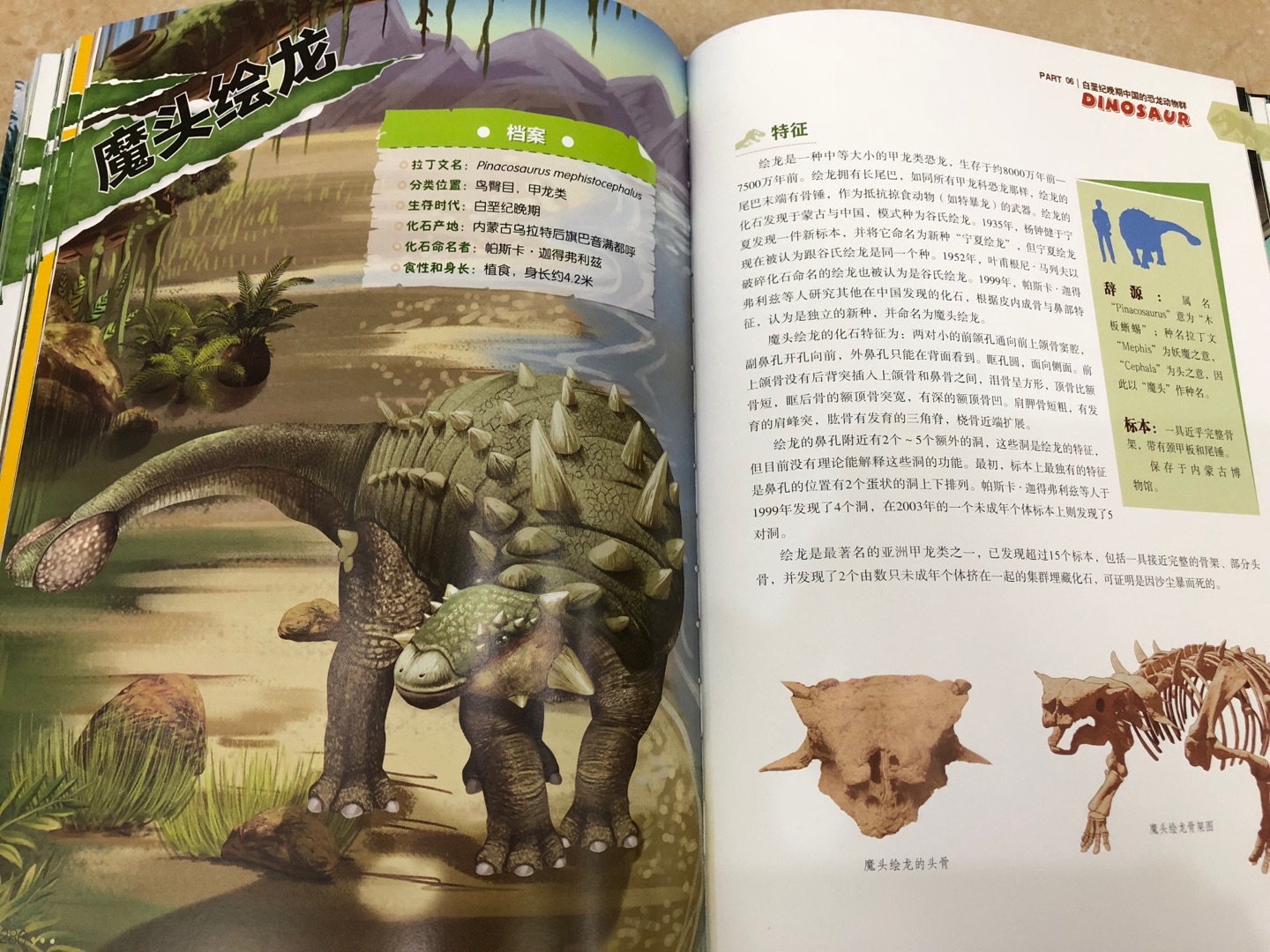 中国恐龙百科全书，浙江教育出版社出版，是精装版并且超级厚的一本书，一共339页，纸质非常好，里面介绍的恐龙?非常全非常全，从三叠纪到侏罗纪到白垩纪，各个时期的恐龙都做了详细的介绍，孩子看到这本书太兴奋了，他最喜欢恐龙了，真的是爱不释手。书中每一页讲述一个恐龙的知识，每一页都有插图，而且里面的图案非常精美，各个恐龙都画的很形象，色彩搭配也很舒服，学恐龙知识这本书真的必不可少！特别是男孩子