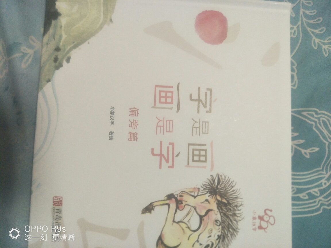 本来已经买了一套小象汉字的书，就是汉字是画出来的，给孩子做汉字启蒙的，挺喜欢，直观形象。又看到了这套书，从笔画到偏旁详细系统介绍的汉字，更好了，果断入手