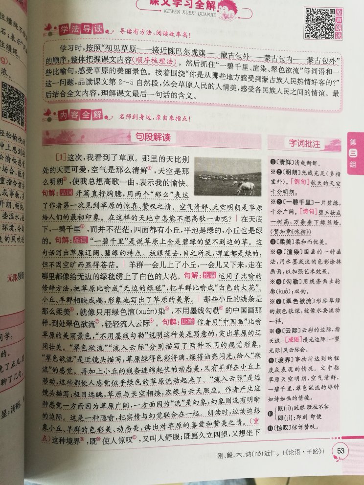 确实是不错的教辅资料，配合教科书，每一篇课文都有较为全面详尽的解释，字音，词意，文章内容均有涉及。可以很好帮助孩子预习，复习和深入理解。