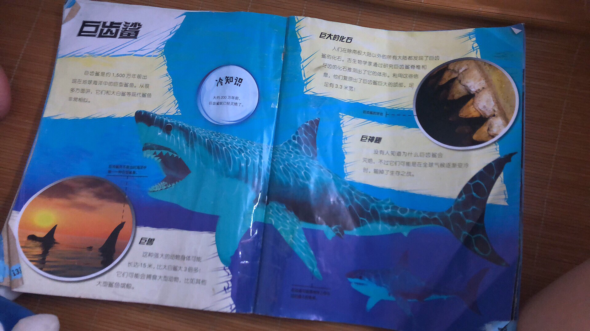 小朋友爱不释手，每天都要让我读一遍。最喜欢巨齿鲨，这一页都翻旧了