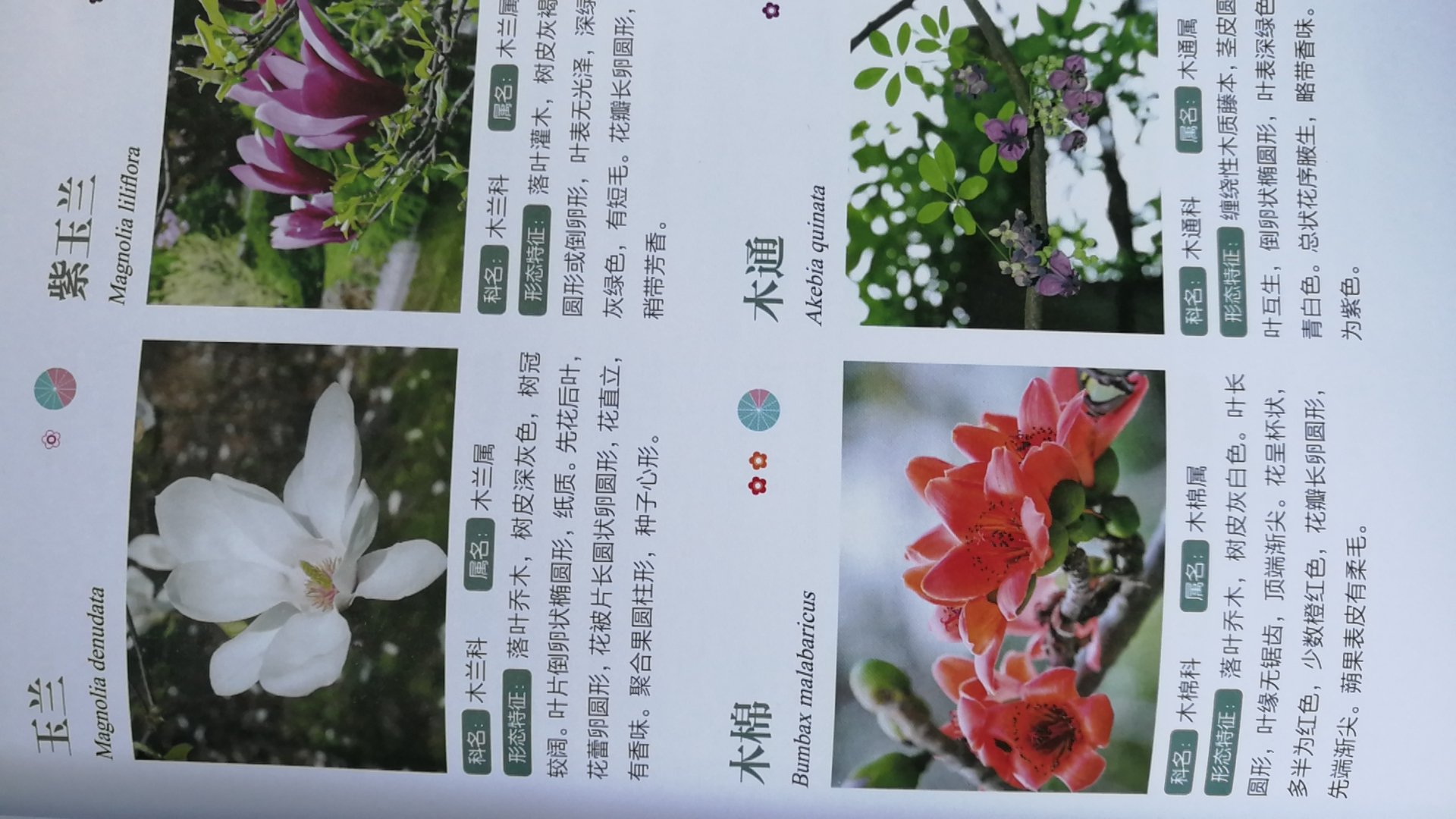 这本书可以让我们认识很多常见花卉，但介绍有点简单，没有别名，有个别没有全景，比如只有花
