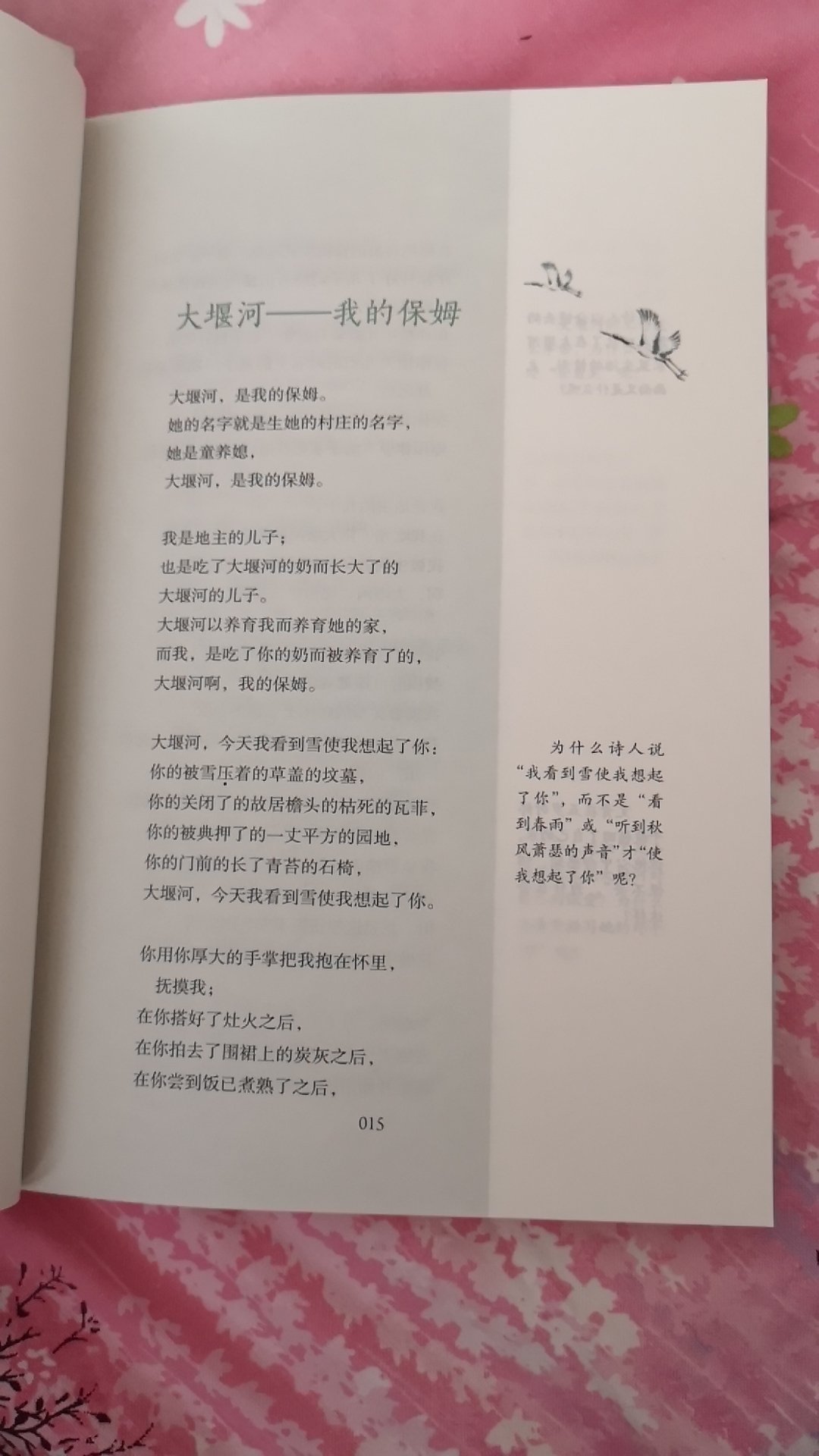 这本书里，有大家最熟悉的《大堰河——我的保姆》，是现代诗人艾青于1933年1月14日写的一首诗，被选入人教版语文课本。全诗分为四部分。作者通过对自己的乳母的回忆与追思，抒发了对贫苦农妇大堰河的怀念之情、感激之情和赞美之情，从而激发人们对旧中国广大劳动妇女悲惨命运的同情，对这“不公道的世界”的强烈仇恨。印刷清晰，孩子很喜欢。