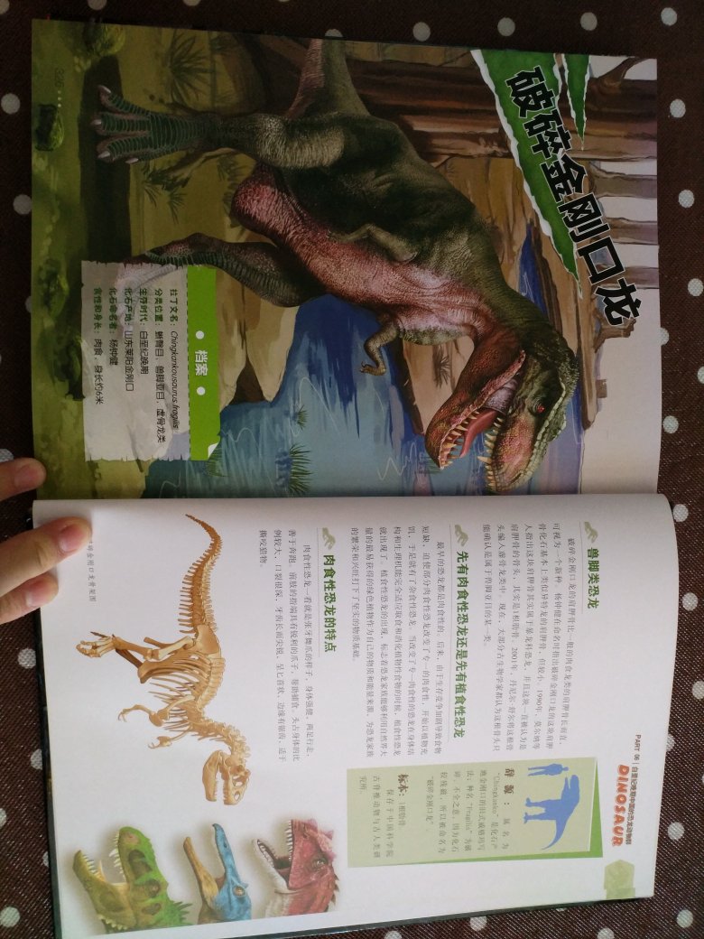 儿子超级喜欢恐龙，到货一拆开就被他看见，硬要自己先看，印刷很精美，纸质也非常好，介绍了大概近两百种恐龙，主要特征，生存习性，应该适合六岁以上儿童亲子共读，作为爱好恐龙的儿童科普拓展，不错！