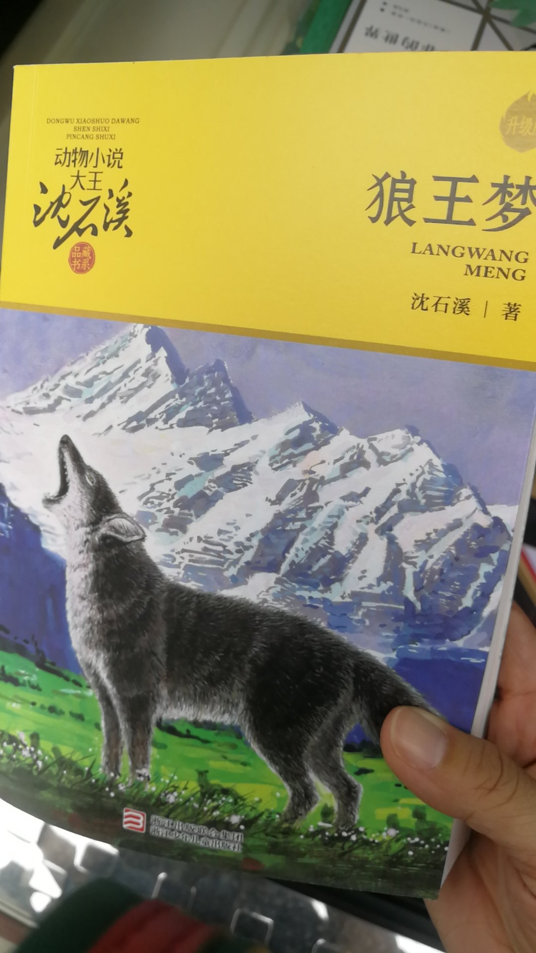 沈石溪先生的动物小说狼王梦非常值得推荐，嗯，学校老师也非常喜欢推荐这沈石溪先生的作品，我女儿也非常喜欢