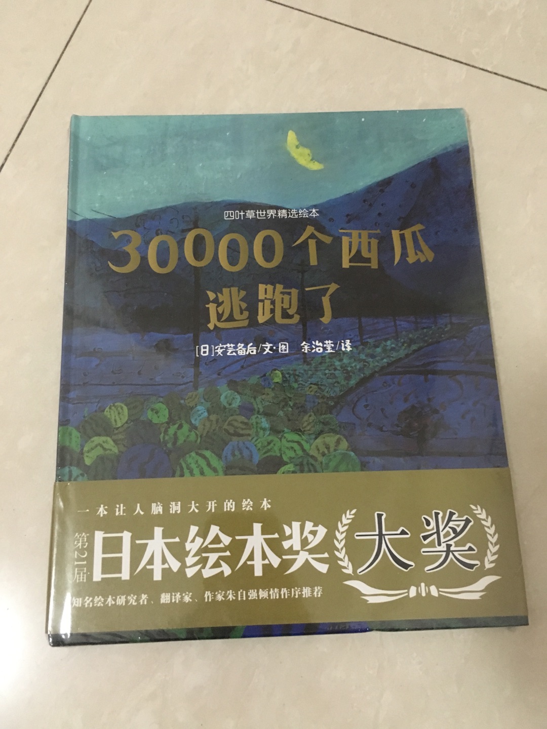 3万个西瓜逃跑了，是正版图书，非常棒，油画风。