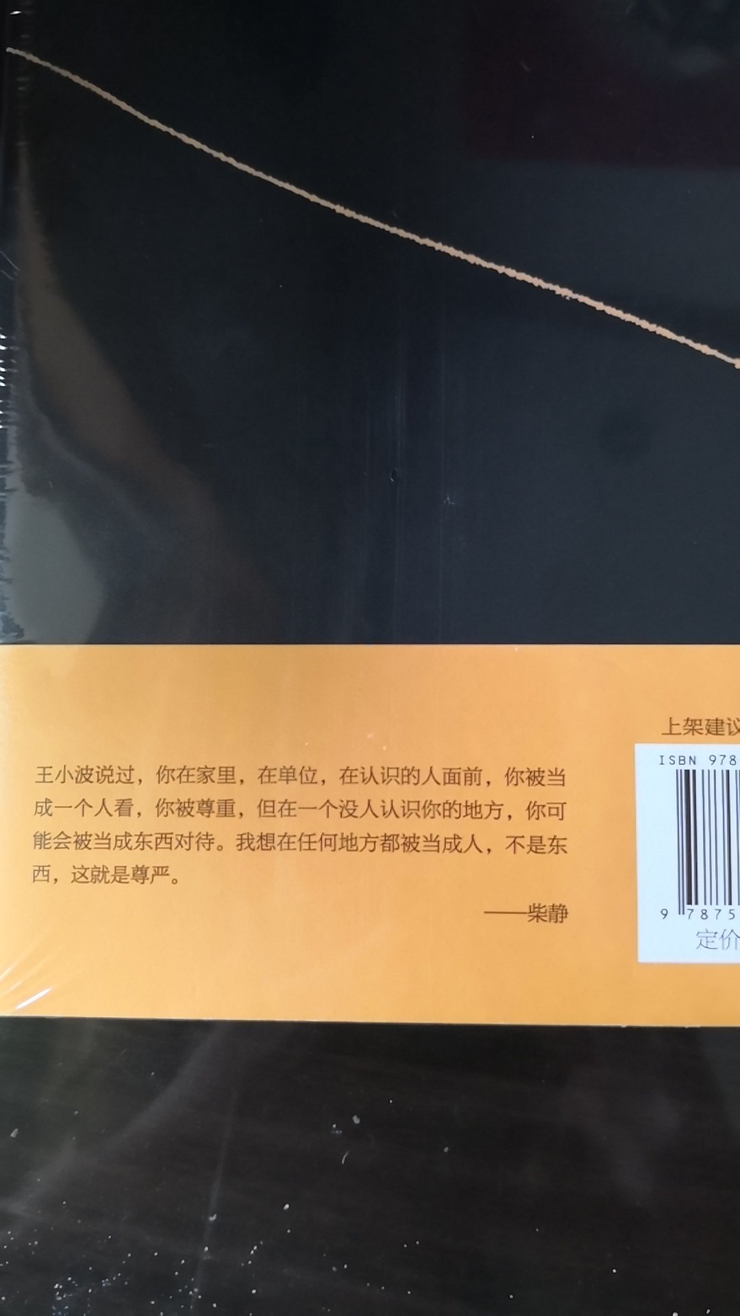 王小波，一位特立独行的作家。王小波说过“你在家里，在单位，在认识的人面前，你被当成一个人看，你被尊重，但在一个没人认识的地方，你可能会被当成东西对待。我想在任何地方都被当成人，不是东西，这就是尊严。”一本杂文，值得阅读推荐。