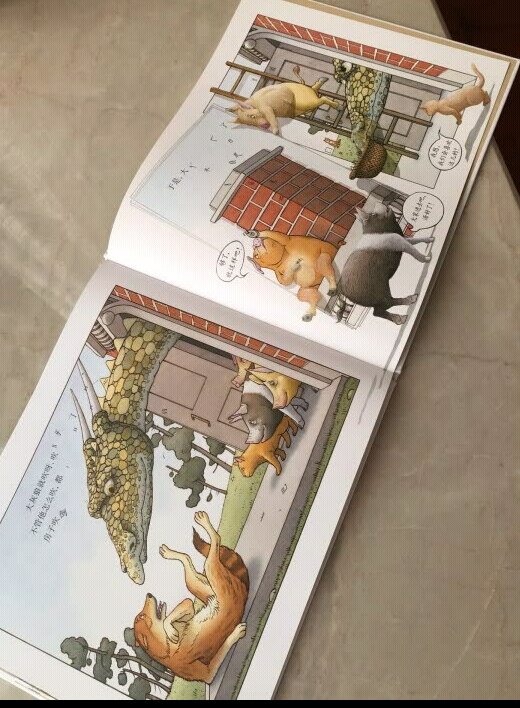 书看了，挺好的，挺有趣，绘画版的比较简单易懂。