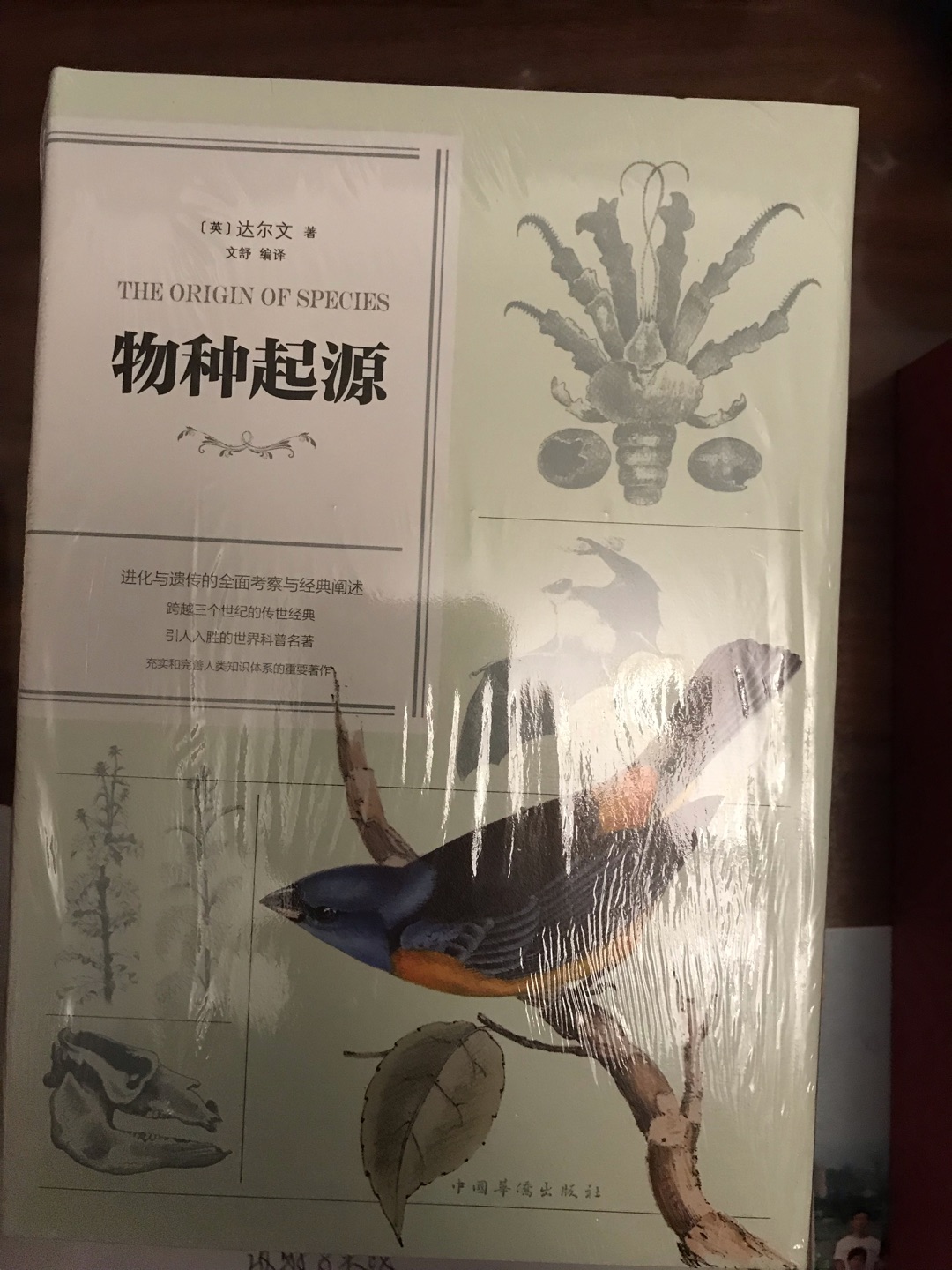 价格非常实惠，质量也不错，不管是不是正版，印刷没毛病。