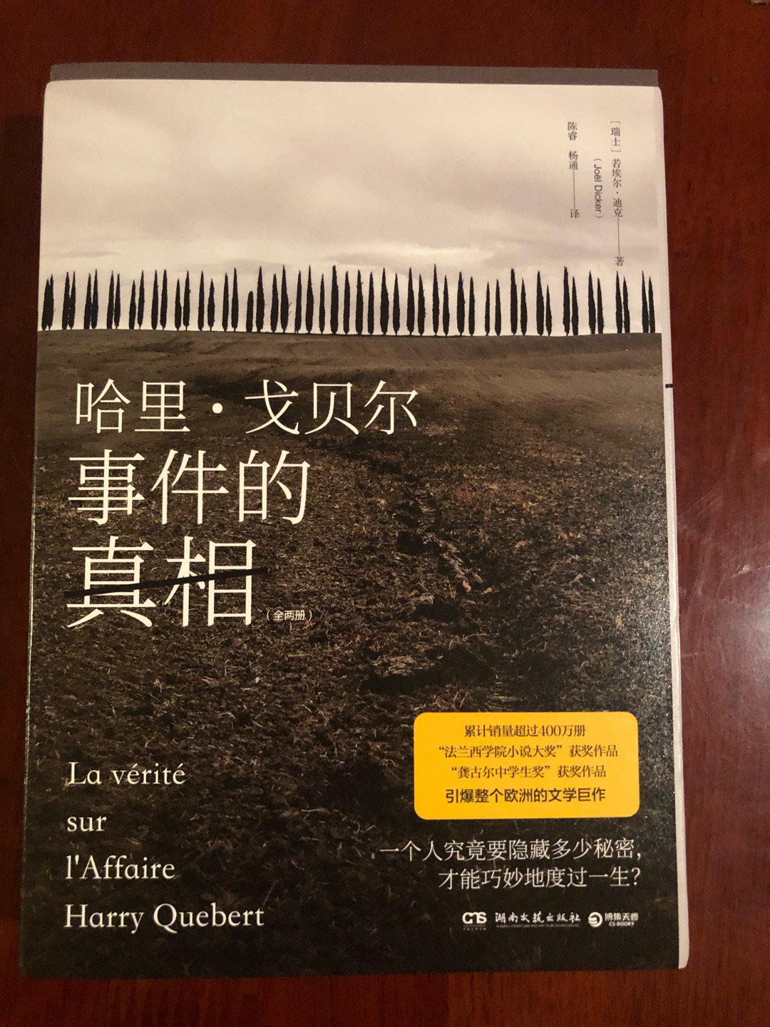 这本赞！因为凑单乱买的书反而是今年看过最炫酷的悬疑小说！真相掩埋得那么深那么曲折，归根结底所有可怕罪恶的伊始，不过是人性最浅薄的弱点。虽然是第一人称的我在讲故事，目的又是为恩师哈里洗清罪名，可是主角却是当年的一对青年男女，美丽的灵魂总是无比脆弱，又总是被愚昧庸俗毁灭……