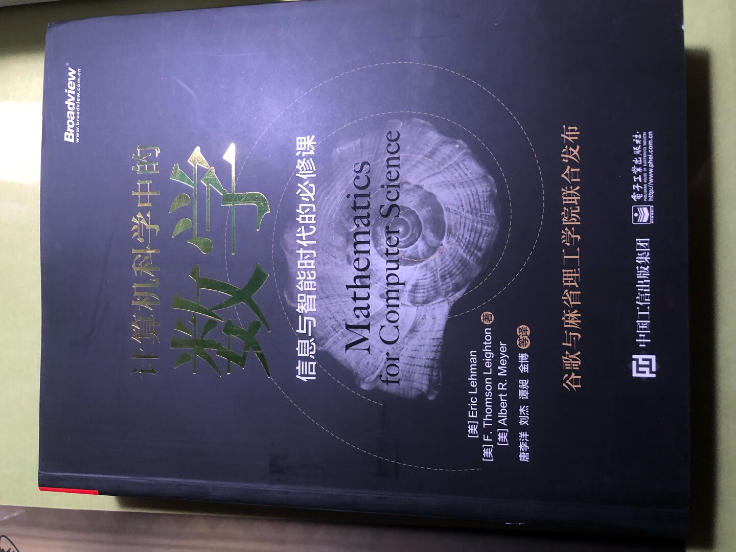 mit6.042课程的教材，章节基本能对应2017和18版，翻译质量可以，配合网上公开课视频和原版教材，效果更好。