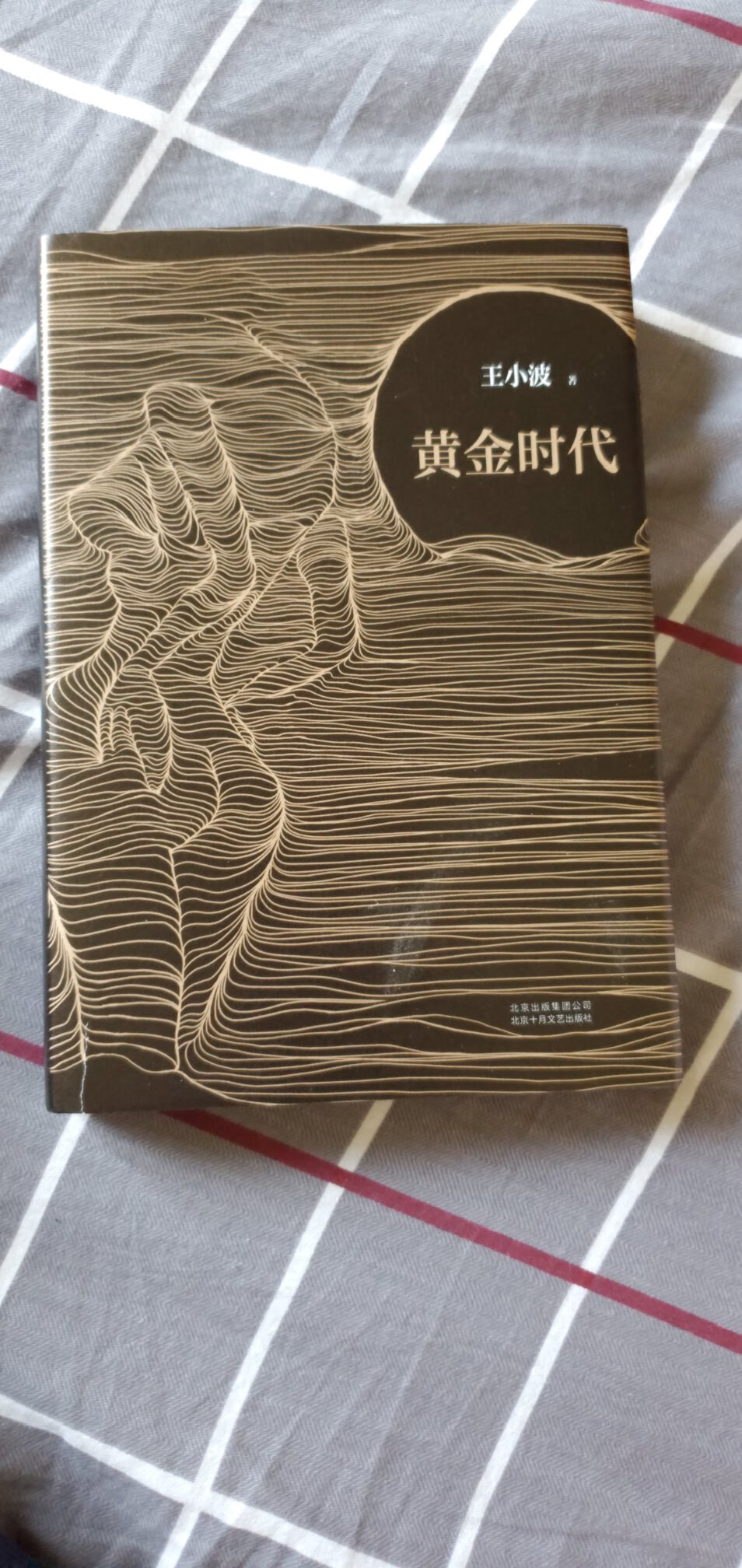 王小波的小说以前一直以为没有他的杂文集好，最近看梁文道推荐他的小说《万寿寺》和《黄金时代》就买来看看试试。