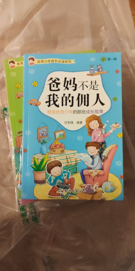 好评，买了好多书，感觉小孩还是只喜欢看故事书，除了这个图画捉迷藏是他点名要买的，其它貌似还不感兴趣，慢慢看吧，反正价格便宜还有好多，整个暑假在慢慢看。