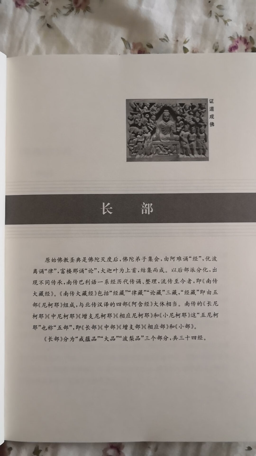 从南传的五部经藏中节选出的读本，很多涉及对居士的教导。内容不错，就是书价定的有点高