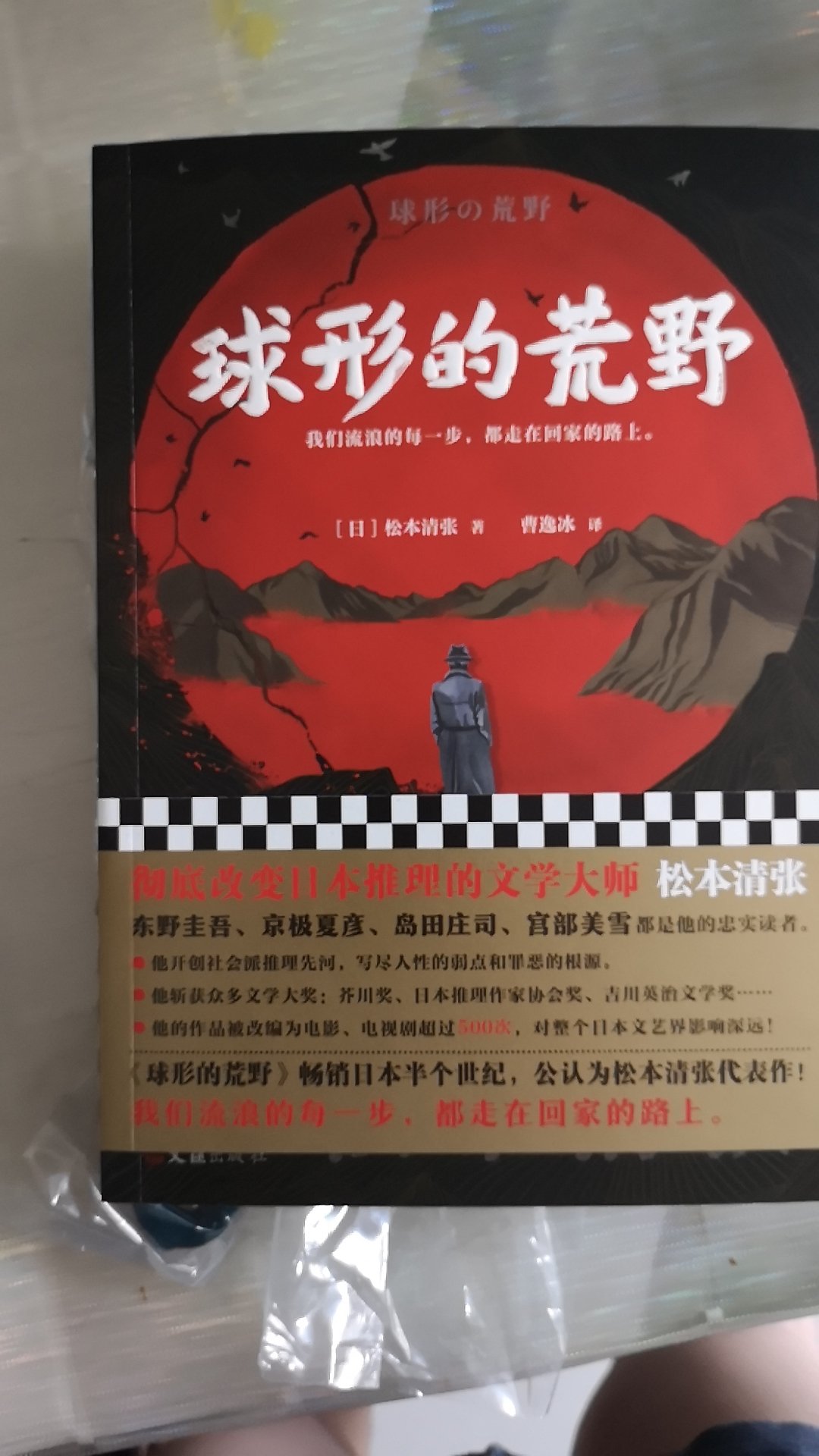  二战即将结束之时，日本政府公布了外交官野上显一郎病逝异国的死讯。    十七年后，奈良古寺里却惊现疑似野上留下的近日的笔迹。     与此同时，野上的女儿久美子身边不断发生诡异事件：为她画像的知名画家**身亡；留宿的国际酒店突发枪击案；一个神秘女人匿名来信……     一切似乎与野上笔迹之谜有着千丝万缕的联系。但久美子不知道，她已站在不为人知的历史真相边缘，正一步步逼近危险的漩涡中心。     我们流浪的每一步，都走在回家的路上。