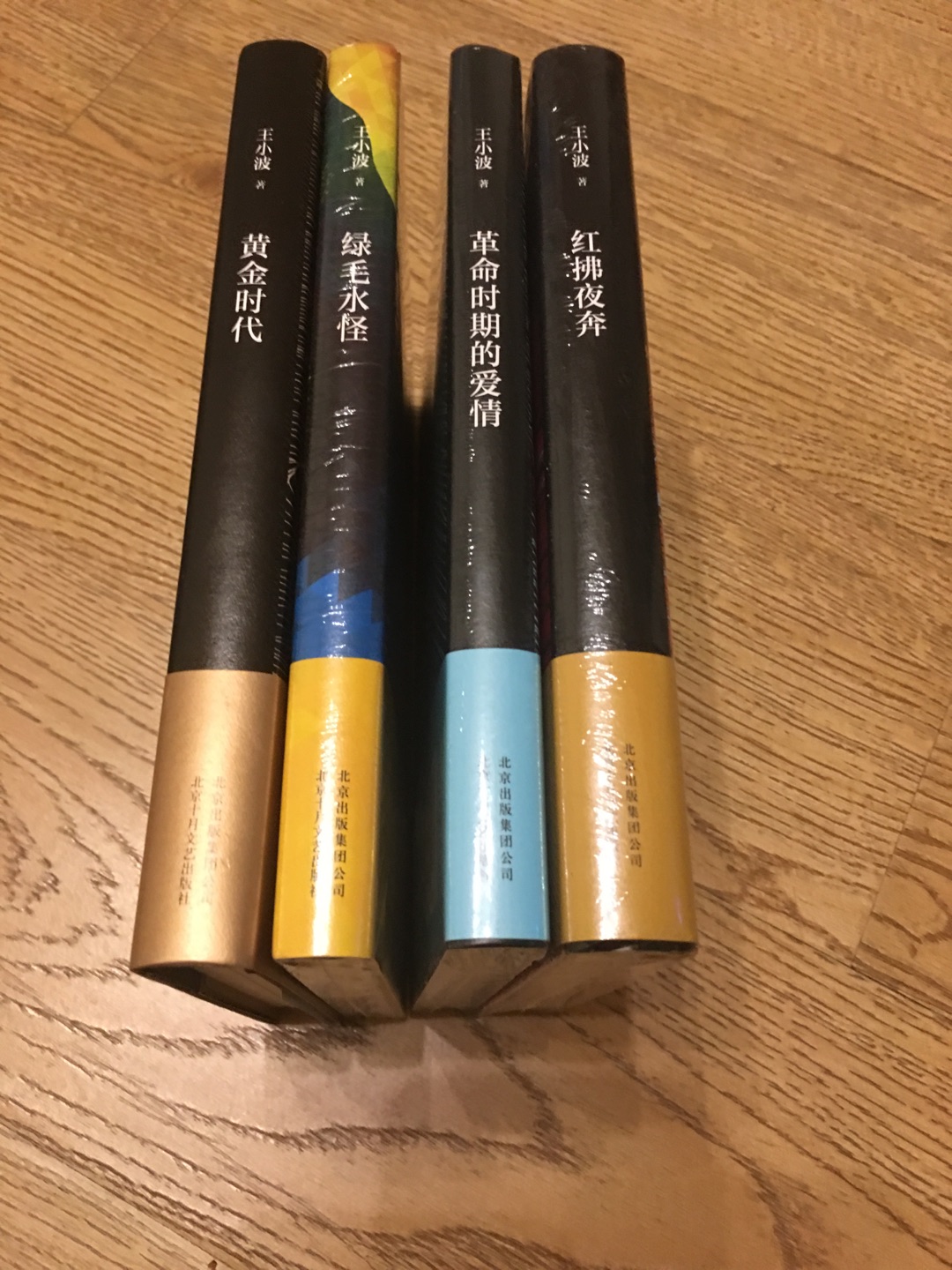 王小波小说代表作，封面设计很有创意。