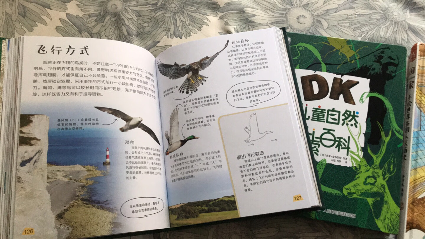 DK儿童自然探索百科，颜值和内容都很棒！收到孩子就迫不及待的自己读了起来，知识点丰富。一下买了两本，自留一本，送人一本！