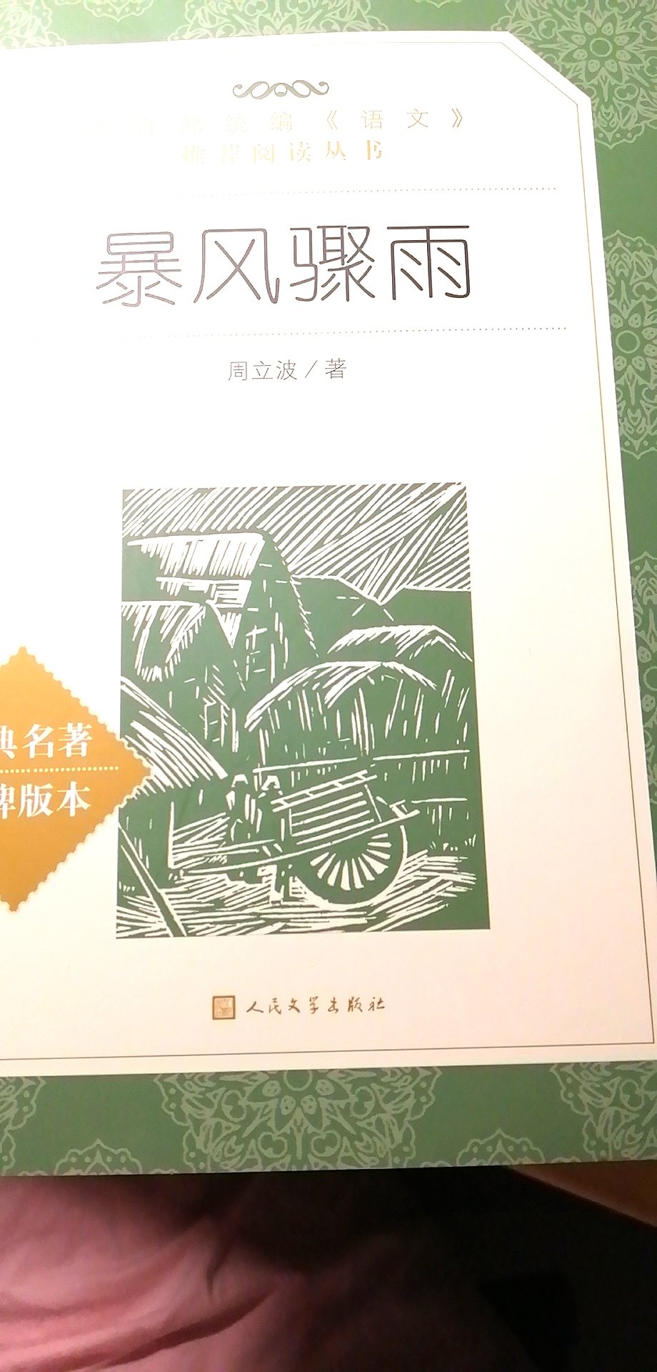 高中阶段推荐阅读丛书，正好有活动买的，晚上下单，转天早上就送到了。