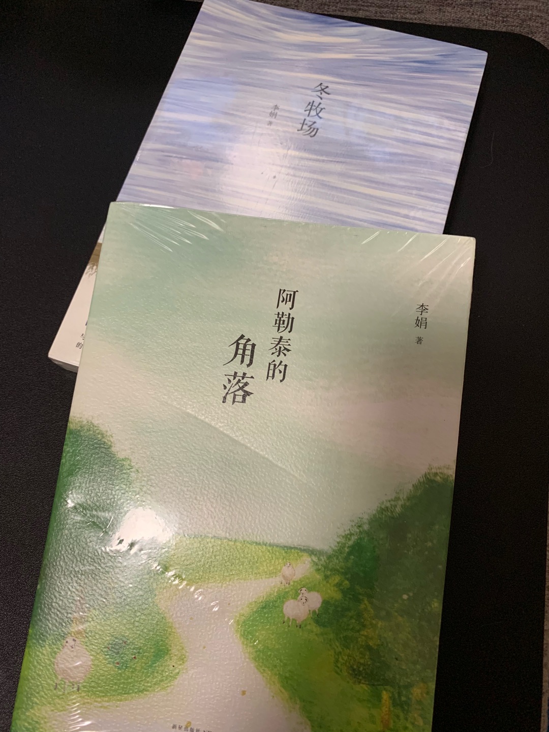 优秀的散文集，陪伴自己度过了愉快而充实的旅程。