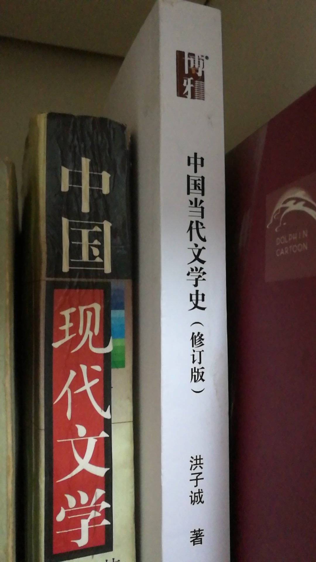 看了几本文学史的书，有古代的，现代的，这本是写当代文学的，客观来说，写的还是比较全面的。用来参考借鉴，多看几个版本，可以互相佐证补全，从不同角度刻画出一个较为清晰的中国当代文学脉络。