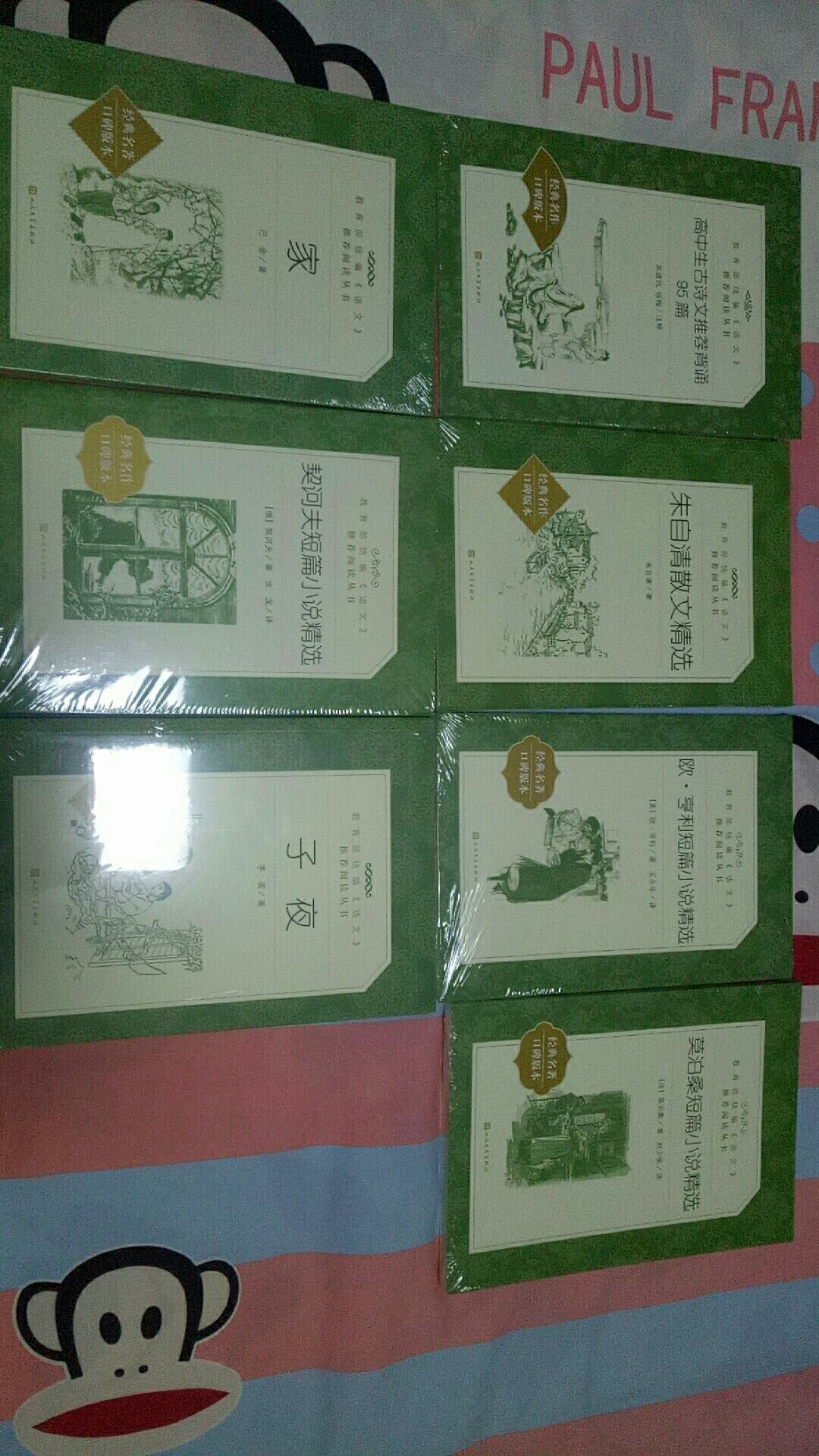 外国文学书，名家翻译，人民文学出版社出版，老师让买的课外书，暑假要求阅读。