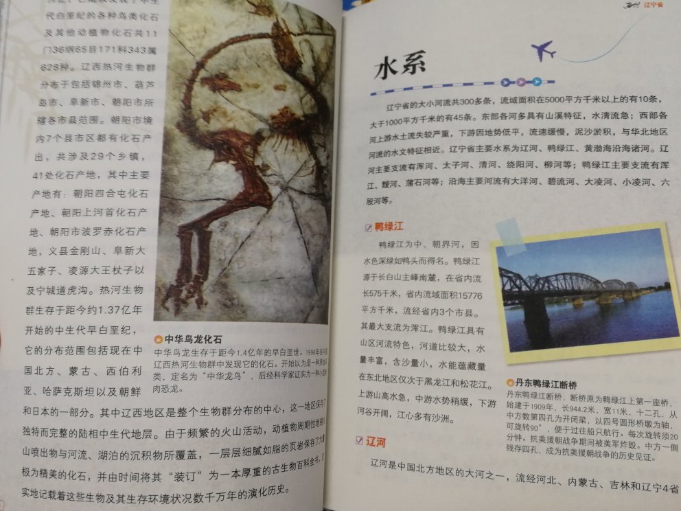 纸张一般，很轻。内容是典型的百科类，适合孩子学生看。