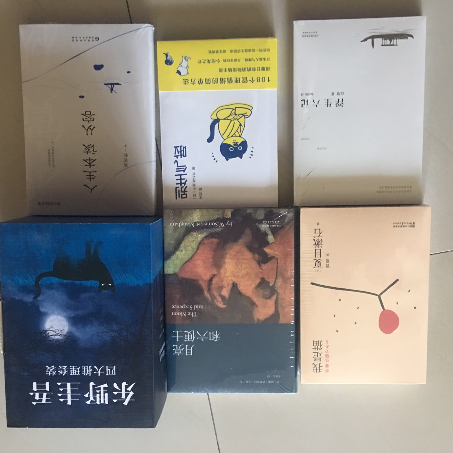 很喜欢东野圭*的推理小说，书的包装不错质量很好