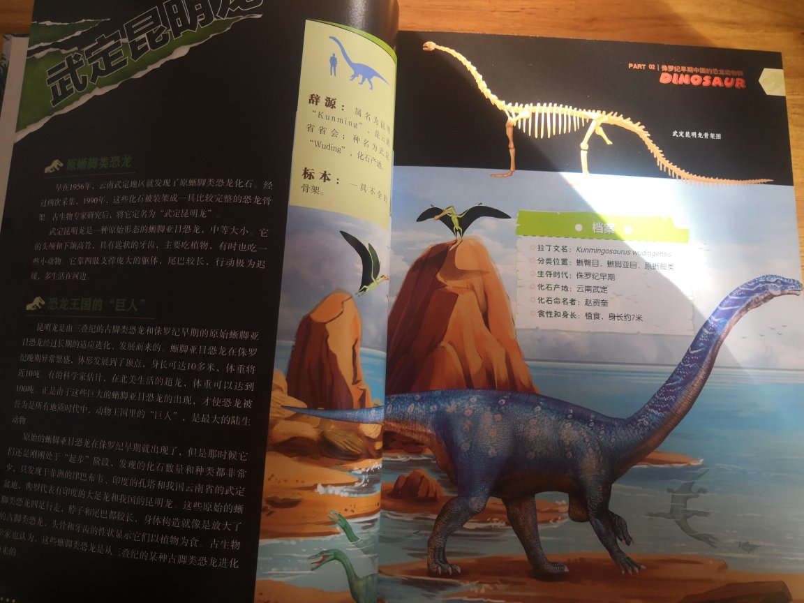 冲着董教授买的这本书。孩子特别喜欢恐龙，这本也是国内第一本专门介绍中国恐龙的百科全书。彩页精美，内容详实。每种恐龙都有详尽的介绍，并且很多趣事。像“后脑”长在脊椎骨上的马门溪龙，像气龙并不是爱生气所以叫气龙，而且因为四川一个调查天然气的工程队首先发现它们的骨头，所以以此命名。孩子们特别喜欢