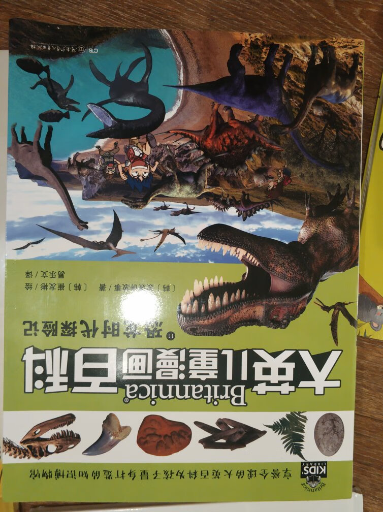 孩子阅读初期，阅读品位的确立很重耍。如同世家之子在某人家中，一溜眼就能看出古董真假，无他，小时候他见世真家伙。所以，从小给孩子买最好的童书，绘本。的书品质非凡，这本书编绘有力。无论故事性，内涵深度，趣味性，设计风格，绘画意境，皆是上品。人的眼界和格局是智力才情之外的资质。买书是最省钱的投资