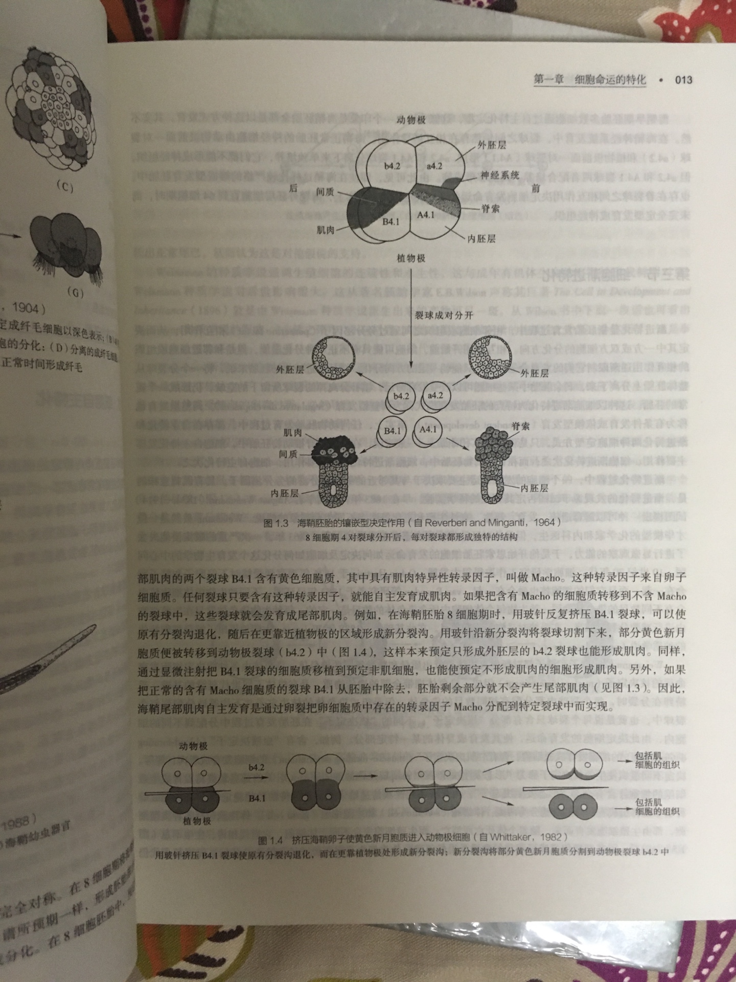 物流配送非常给力，产品包装完整。书籍内容详尽，很好的教科书