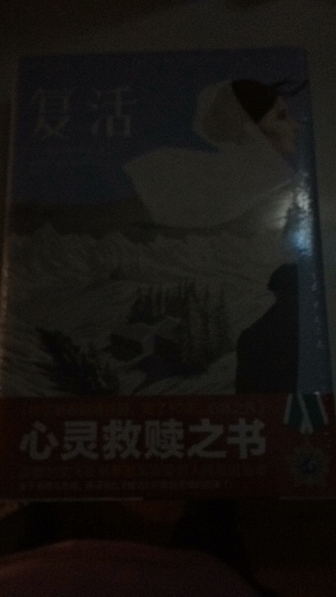 宝贝已收到，还没看，包装好，发货速度很快……