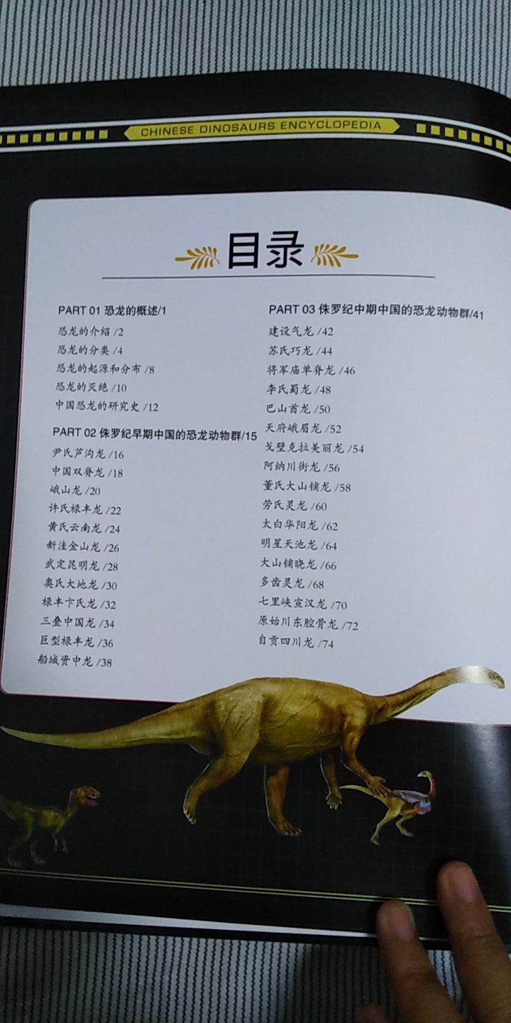 这本书详细的介绍了160多种不同的中国独有的恐龙，每一页都有特别#真的插图，展现了许多恐龙的细节。这本书特别适合男孩看，让孩子了解恐龙的生活。多多小朋友特别喜欢，每天都特别想看睡前总是让爸爸讲。