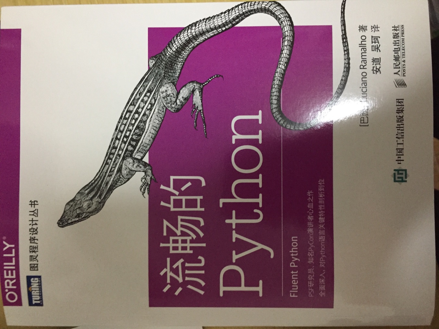 Python进阶宝典，学会Python容易，用好就没那么容易了。