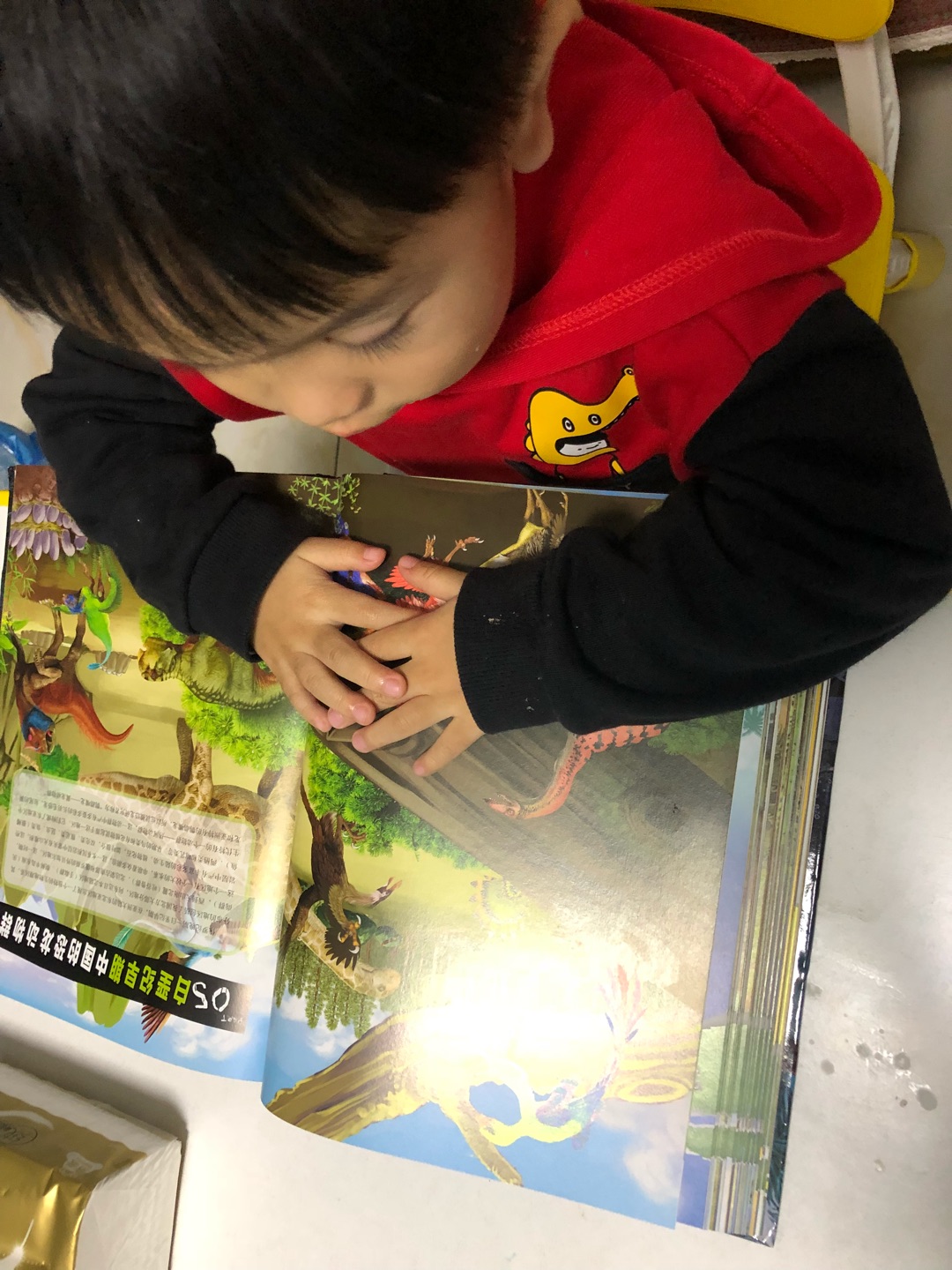 和宝宝一起阅读了《中国恐龙百科全书》，书本推荐阅读年龄7岁以上，我们年龄略小一些，但也不影响小恐龙迷的阅读兴趣。书中文字叙述不少，知识点丰富，对于低幼的我们来说有难度，家长可以简略阐述，通过大幅面的恐龙图像进行即兴讲解。这本书是以时间为主线，按五个不同时期铺开，详细介绍了曾经生活在我国的160多种恐龙，纵观全书，俨然一本字典类工具用书。书本不仅限于恐龙知识的介绍，也穿插了许多古生物学知识，横向知识扩展，让宝宝阅读的趣味性更浓。同时，个人也很推荐成年人以一本百科类图书的定位来阅读此书，在我国恐龙生物记载方面可以说是内容详实，全面，有一定的系统性，穿插的古生物学知识更能满足成人的思考需求。总之，这是一本适读年龄跨度大的书籍，推荐大家阅读。