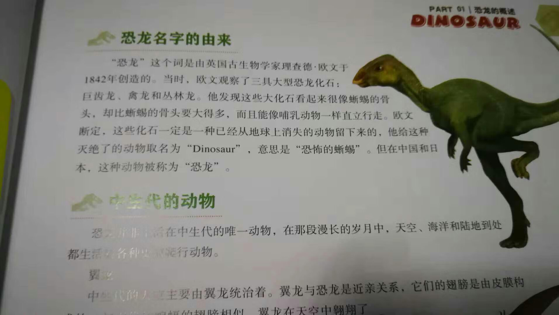 这本《中国恐龙百科全书》是2018年的新书，全铜版纸印刷。用300多页40多万字的篇幅，介绍了160多种曾经生活在中华大地上的中国恐龙。每一种都有全景式高清插图，对每种恐龙的特性都介绍的详细生动，不仅孩子喜欢看，家长们也可以一起补补课。双十一大促，正好可以买一本！