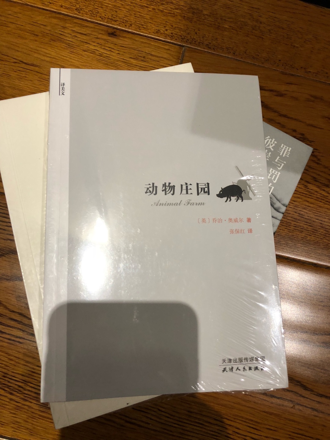 原以为会明天送到，但是快递小哥到晚上还在送，终于没超过原定计划送到，赞。书很薄，值得这个价。