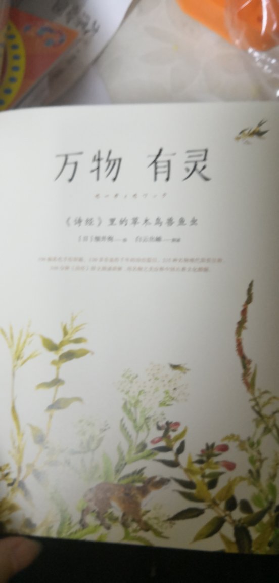 这种美，能让人沉静下来。这次发货很快，书很好。感谢，能买到喜欢的书很开心。啦啦啦。