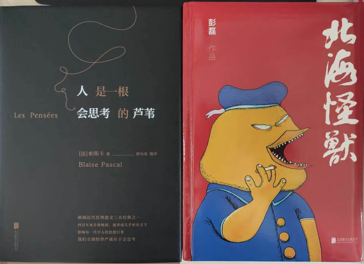 彭磊的书，画风很棒书的内容基本上一个小时就可以看完，很有趣